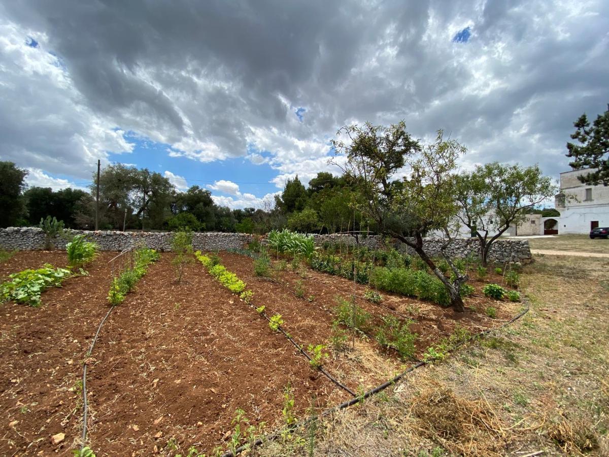 דירות צ'לייה מספיקה Masseria Cervellera מראה חיצוני תמונה