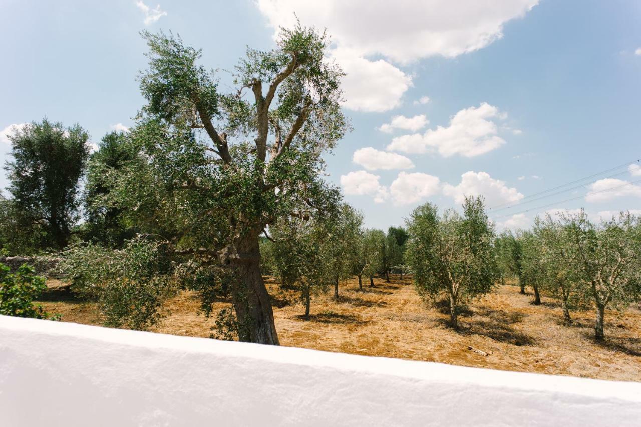 דירות צ'לייה מספיקה Masseria Cervellera מראה חיצוני תמונה